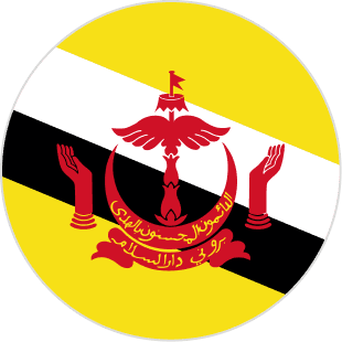 Brunei flag