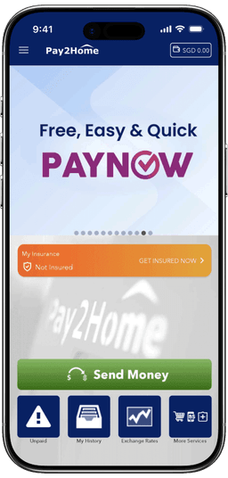 our options - mobile