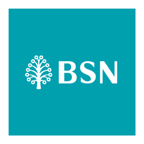 Bank Simpanan Nasional