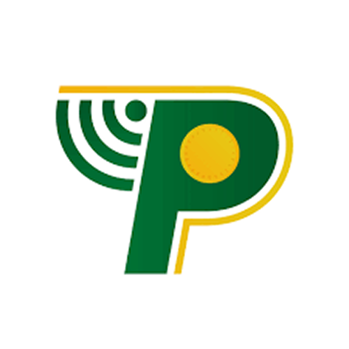 Palawanpay