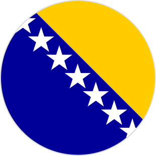 Bosnia and Herzegovina flag