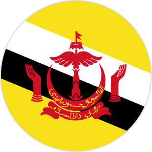 Brunei flag